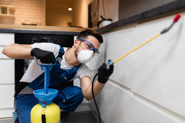 Best Pest Control Cost  in Squaw Valley, CA