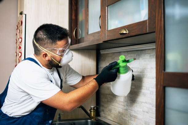Best Pest Inspection Near Me  in Squaw Valley, CA