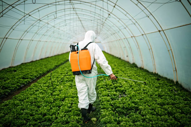 Best Emergency Pest Control  in Squaw Valley, CA