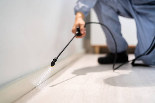 Best Wasp Removal Services  in Squaw Valley, CA