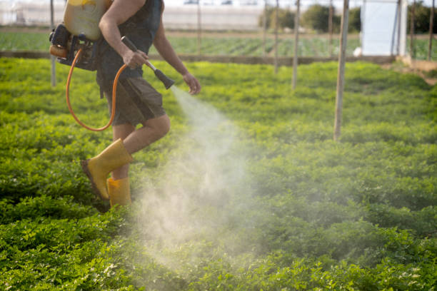 Best Mosquito Control Services  in Squaw Valley, CA