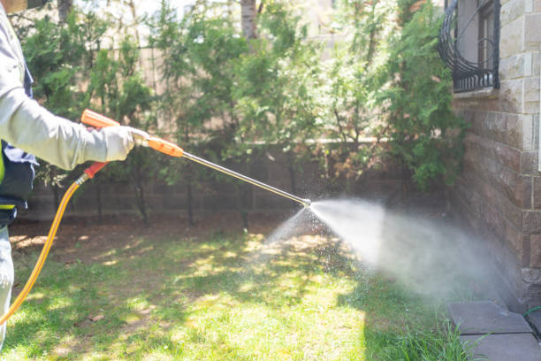 Best Local Pest Control Services  in Squaw Valley, CA